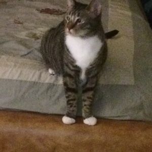 Meet your Posher, Patricia